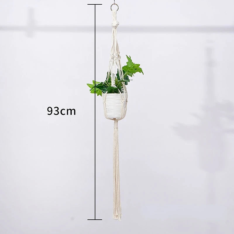 Plant Hanging Basket