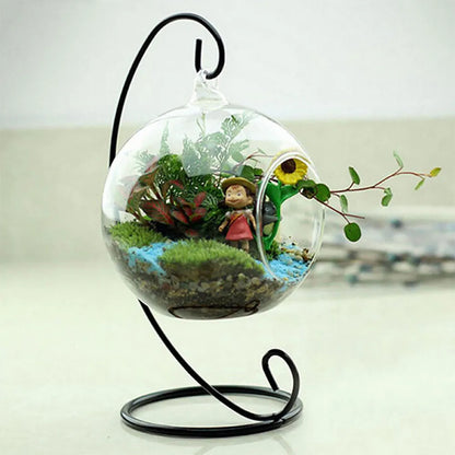 Floating Glass Plant Holder
