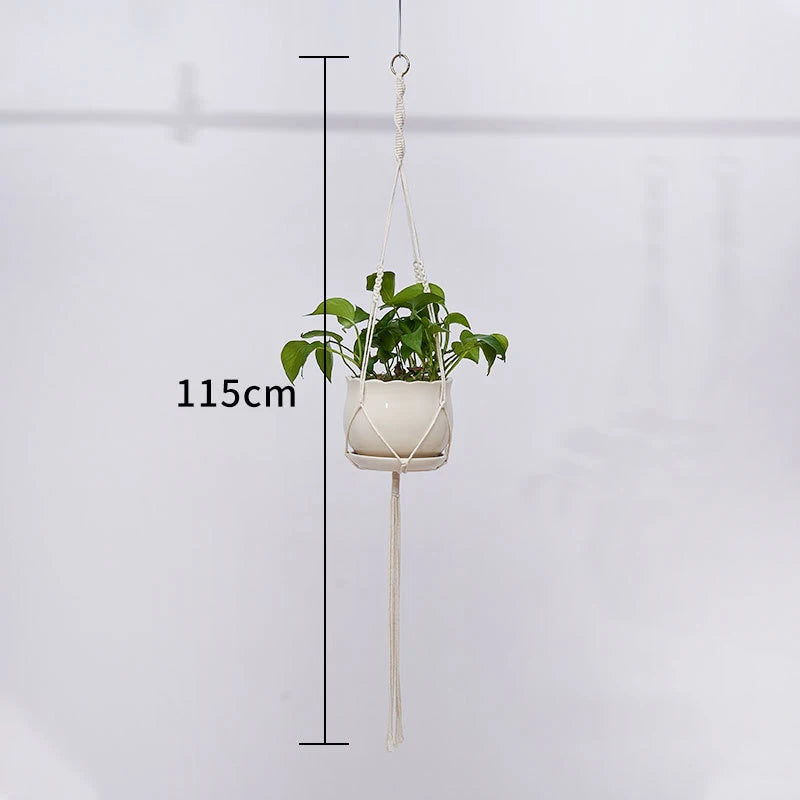 Plant Hanging Basket