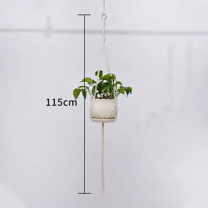 Plant Hanging Basket