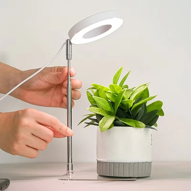 LED Grow Lamp