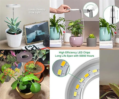 LED Grow Lamp