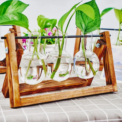 Propagation Station – Single, Double, or Triple Bulb