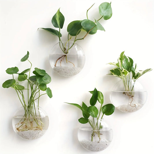 2 Pack Wall Hanging Glass Terrarium