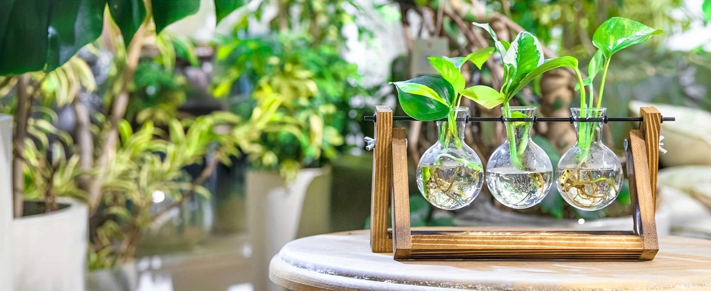 Propagation Station – Single, Double, or Triple Bulb