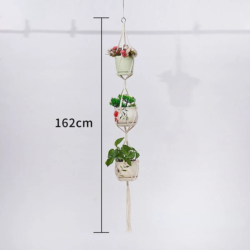 Plant Hanging Basket