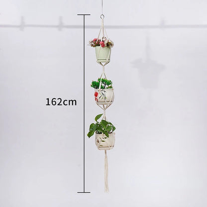 Plant Hanging Basket
