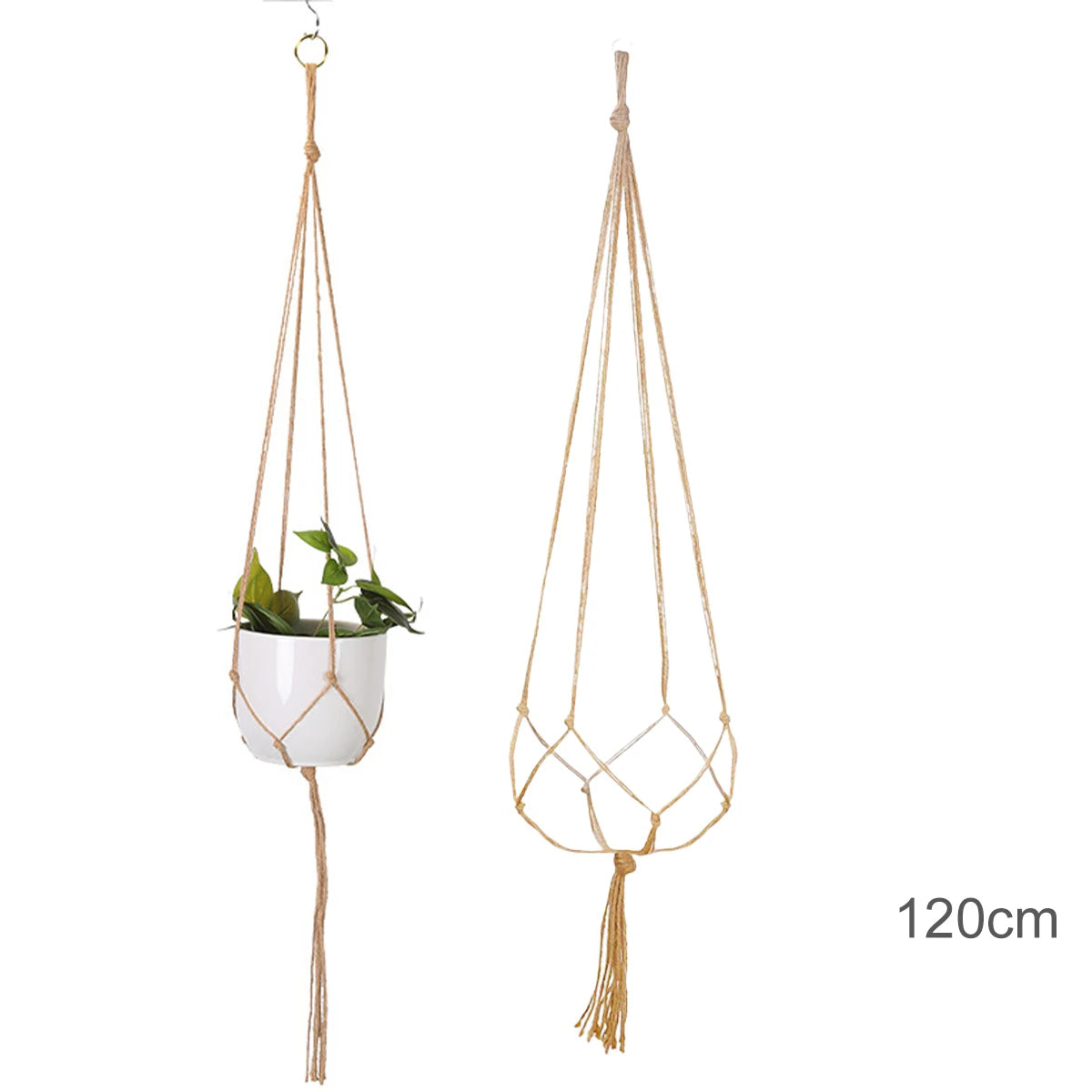 Plant Hanging Basket