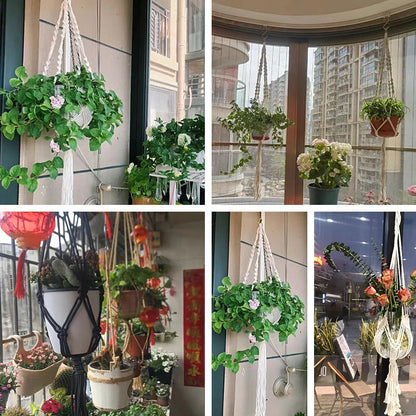 Plant Hanging Basket