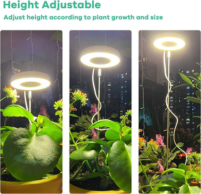 LED Grow Lamp