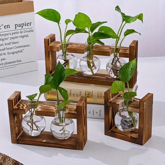 1/2/3 Blub Tabletop Glass Propagation Station