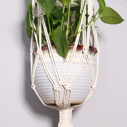 Plant Hanging Basket