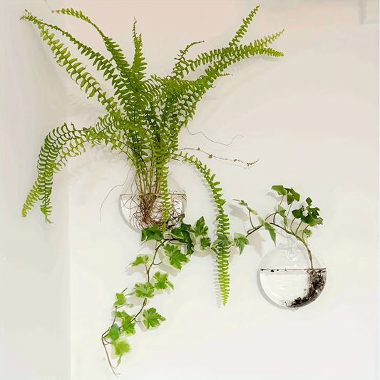 2 Pack Wall Hanging Glass Terrarium