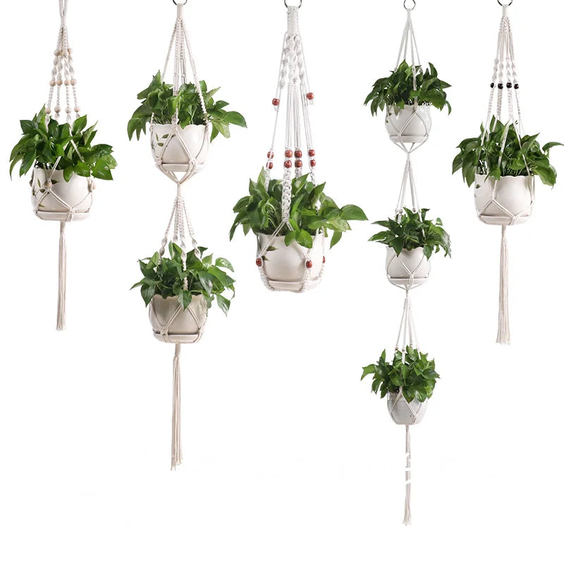 Plant Hanging Basket