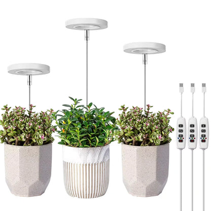 LED Grow Lamp