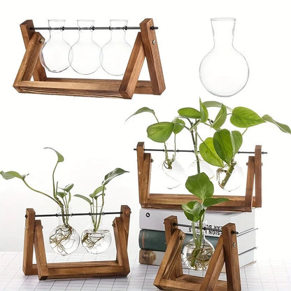 Propagation Station – Single, Double, or Triple Bulb