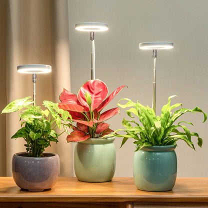 LED Grow Lamp