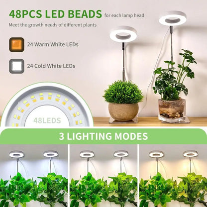 LED Grow Lamp