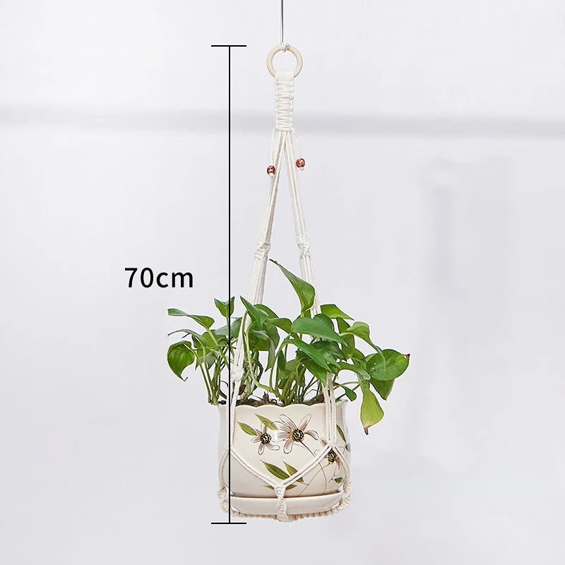 Plant Hanging Basket