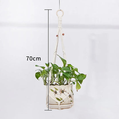 Plant Hanging Basket