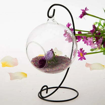 Floating Glass Plant Holder