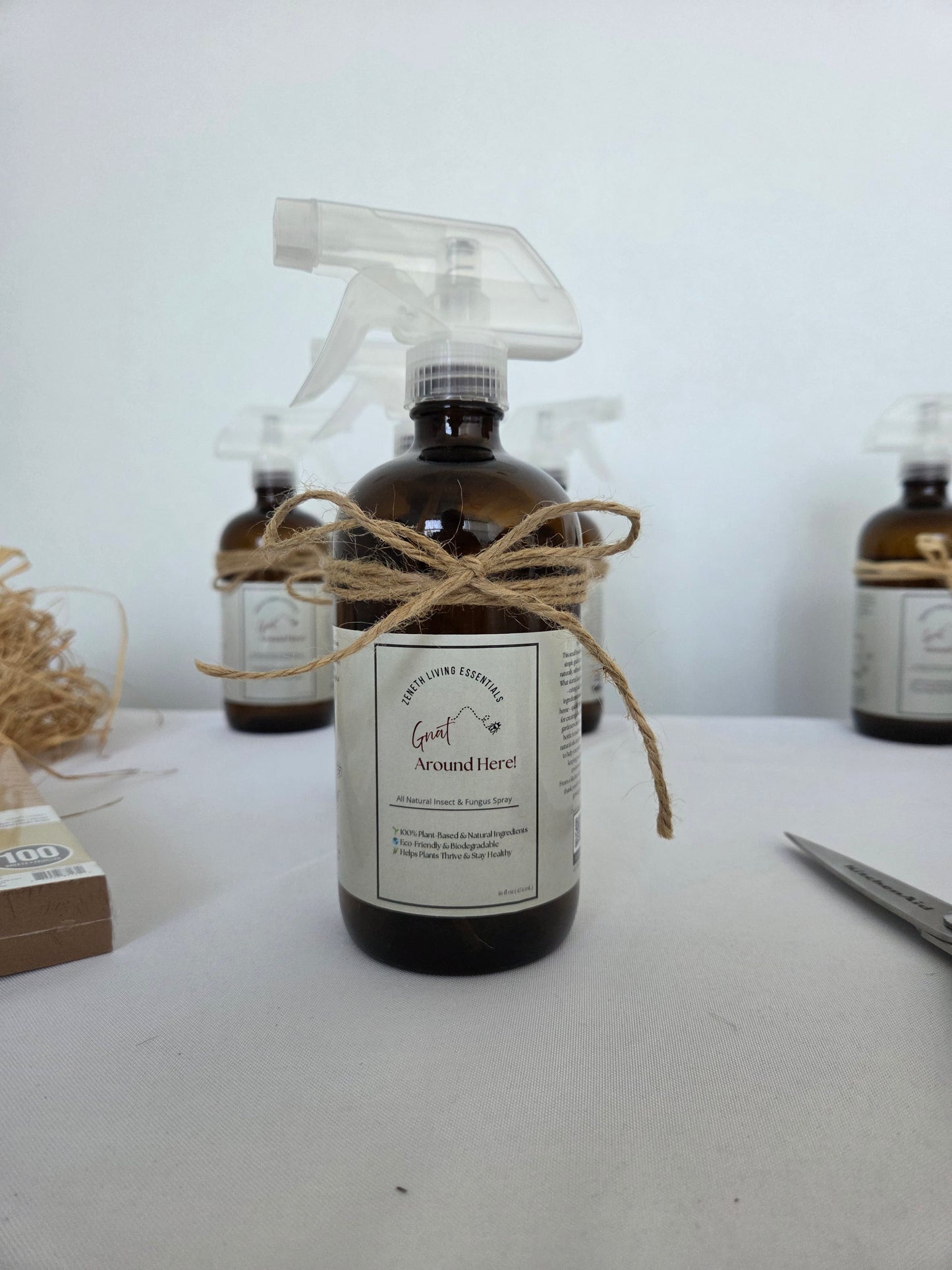 "Gnat Around Here" Indoor Plant Care Spray